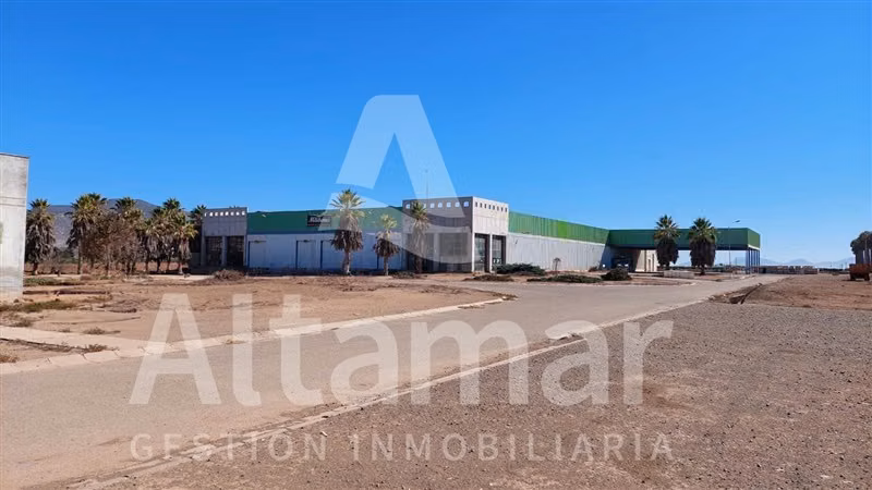 BODEGA Pan de Azúcar, Coquimbo - Imagen 17