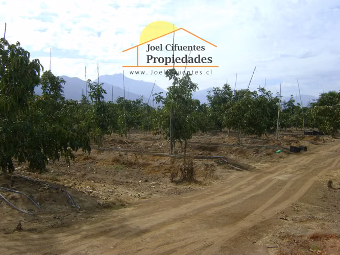 Parcela de 6,28 hectáreas, Av. Adolfo Eastman. Cod-2422