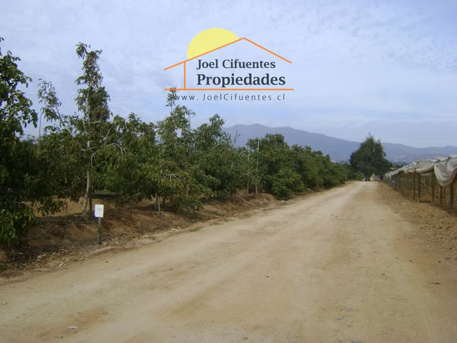 Parcela de 6,28 hectáreas, Av. Adolfo Eastman. Cod-2422