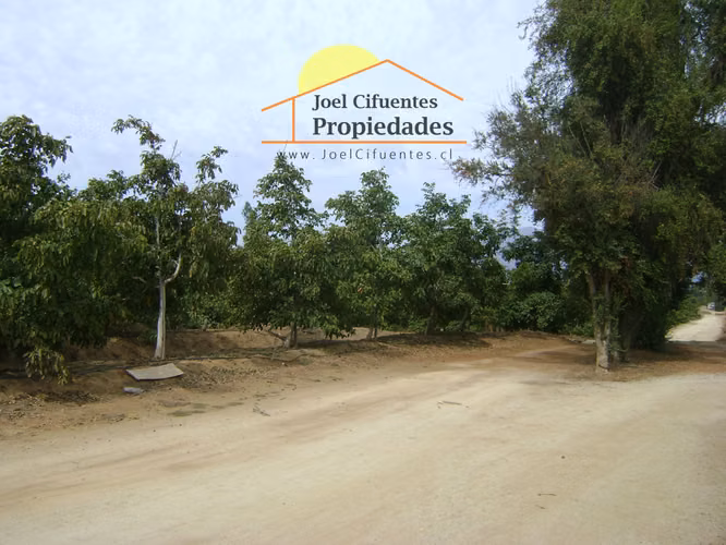 Parcela de 6,28 hectáreas, Av. Adolfo Eastman. Cod-2422