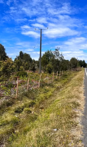 Se vende terreno de 1,46 Ha en Calbuco, excelente ubicación