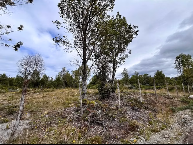 Se vende terreno de 1,46 Ha en Calbuco, excelente ubicación