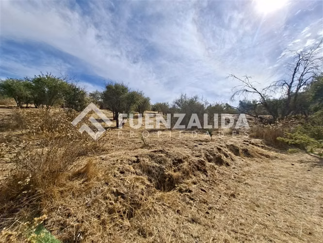 Curacaví. Sitio 9.630 m2 en Condominio. UF 2.490. Agua y Luz