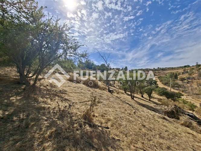 Curacaví. Sitio 9.630 m2 en Condominio. UF 2.490. Agua y Luz