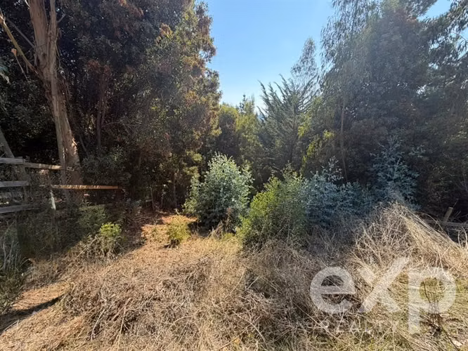 Sitio en venta en Pichilemu