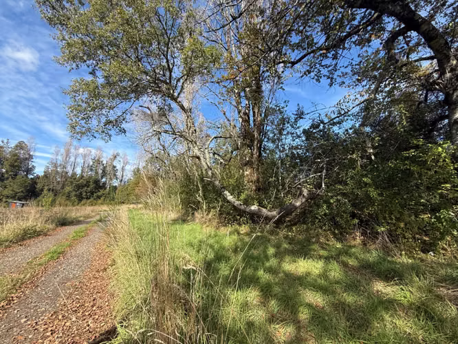 Venta Terreno Santuario de  Villarrica