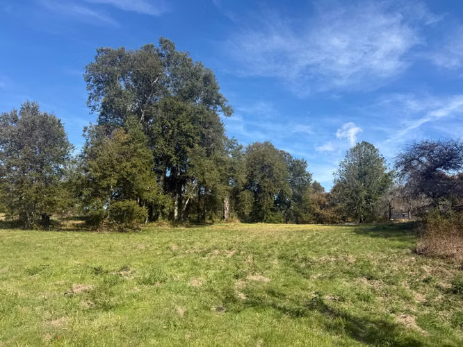 Venta Terreno Santuario de  Villarrica
