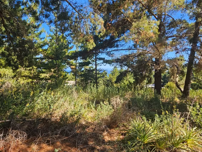 Puertecillo, terreno plano de 5.600 m2 en venta en condominio Punta Puertecillo. Vista al mar.