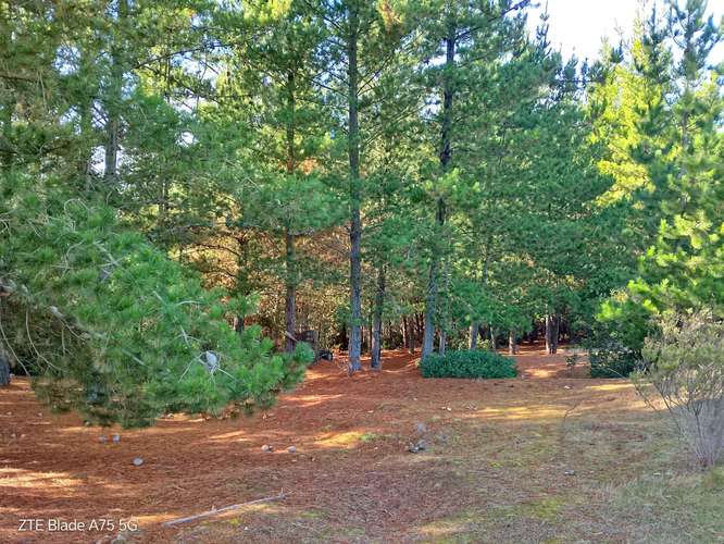 Alto Tumán parcela en venta, bosque, a 10´de playa de Puertecillo