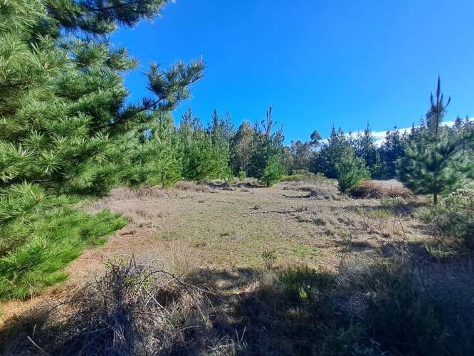 Parcela a 10 minutos de playa Puertecillo en venta, Tumán