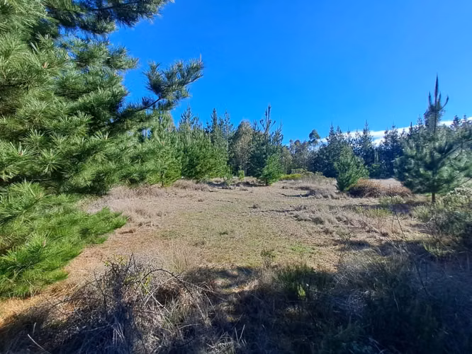 Alto Tumán parcela en venta, Puertecillo.