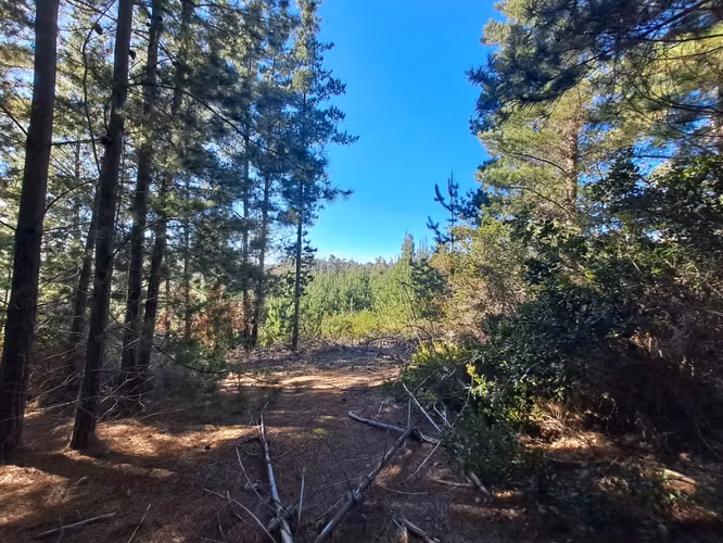 Alto Tumán parcela en venta, Puertecillo - Imagen 4