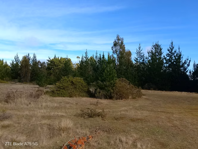 Parcela en Venta en bosque a 10 minutos de playa Puertecillo- Tumán.