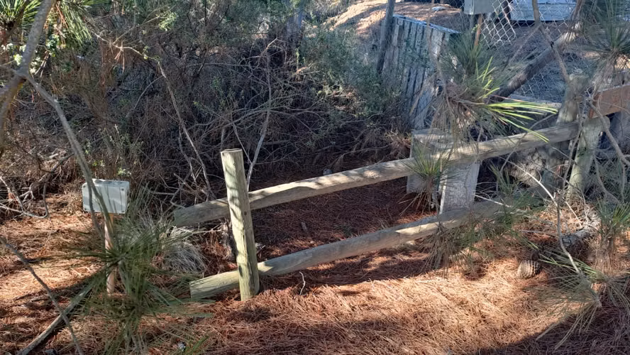 Parcela en Venta en bosque a 10 minutos de playa Puertecillo- Tumán.