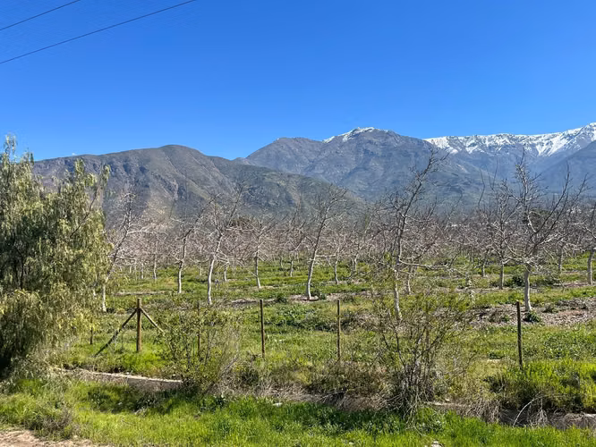 En venta Terreno agricola , Quebrada Herrera, Putaendo