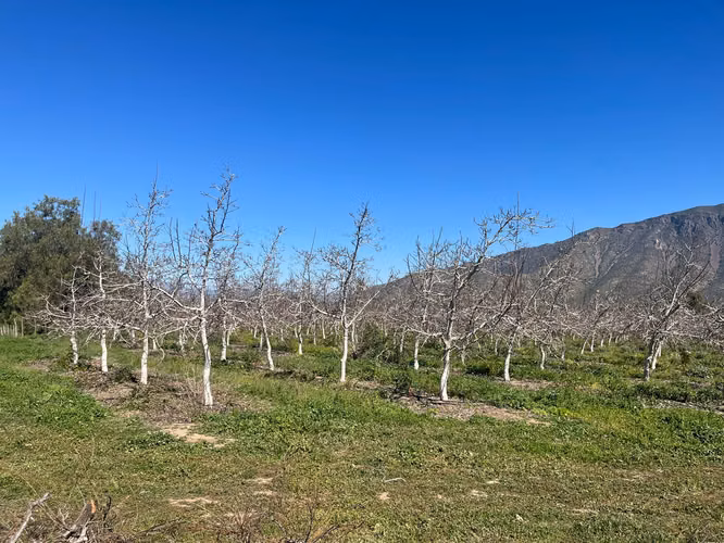 En venta Terreno agricola , Quebrada Herrera, Putaendo