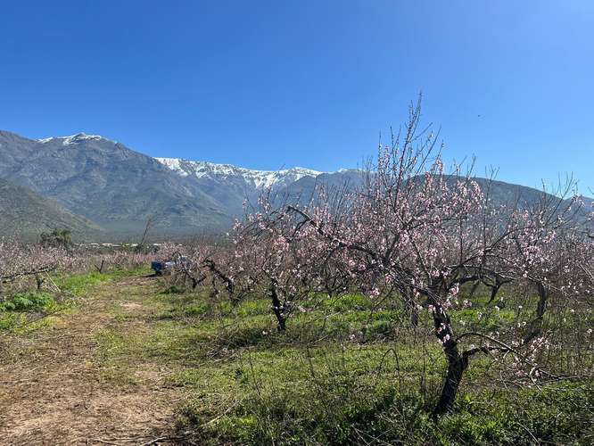 Terreno agrícola en venta - Quebrada Herrera, Putaendo