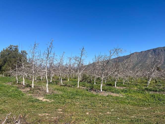 Terreno agrícola en venta - Quebrada Herrera, Putaendo