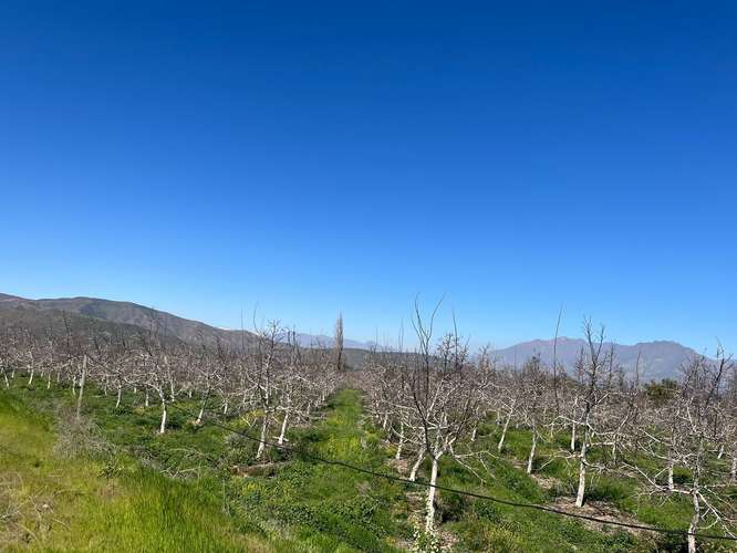 Terreno agrícola en venta - Quebrada Herrera, Putaendo