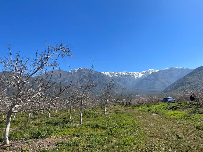 En venta Terreno agricola , Quebrada Herrera, Putaendo