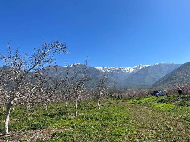 Terreno agrícola en venta - Quebrada Herrera, Putaendo