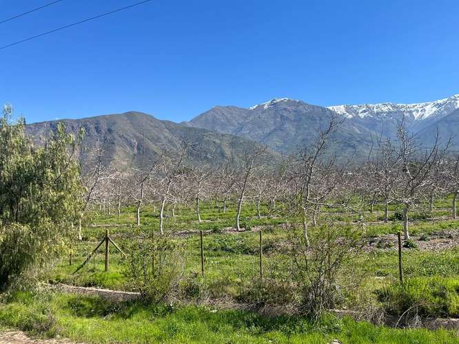 Terreno agrícola en venta - Quebrada Herrera, Putaendo