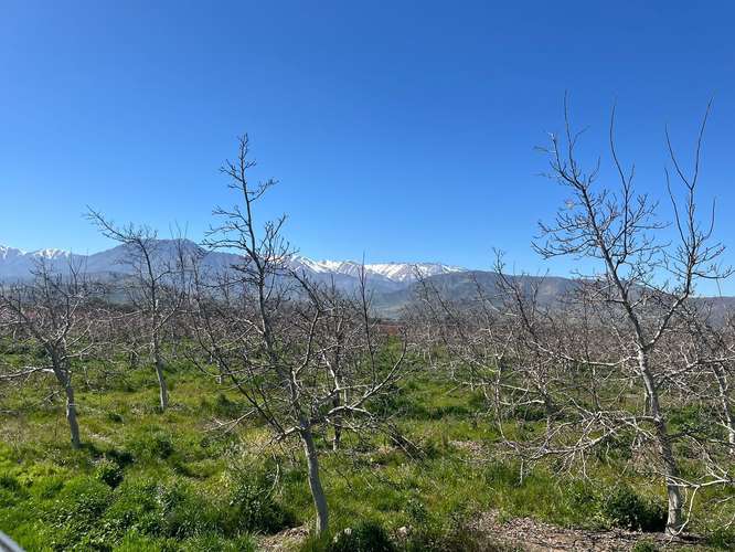 Terreno agrícola en venta - Quebrada Herrera, Putaendo