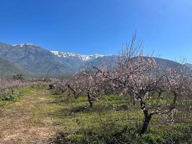 Terreno agrícola en venta - Quebrada Herrera, Putaendo