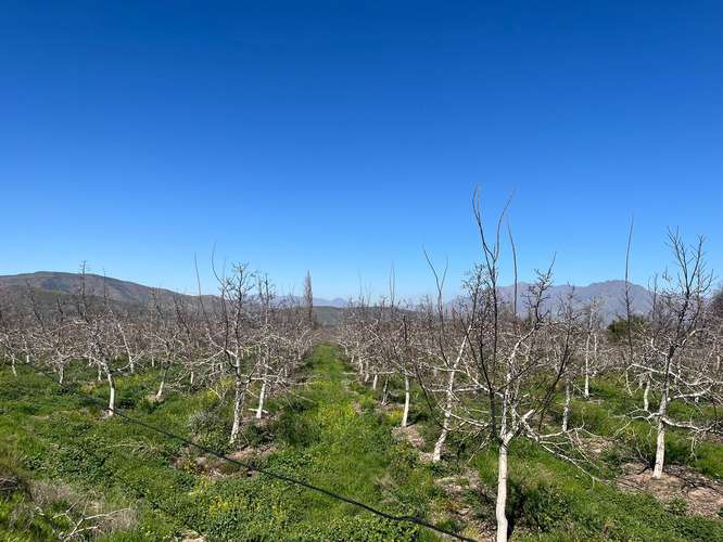 Terreno agrícola en venta - Quebrada Herrera, Putaendo