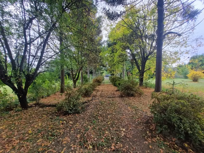 Vendo casa en parcela camino al Peral