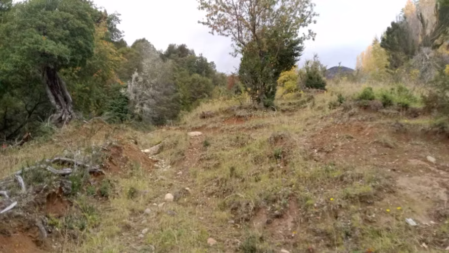 Entorno Natural y Tranquilidad Asegurada (159952) - Imagen 19