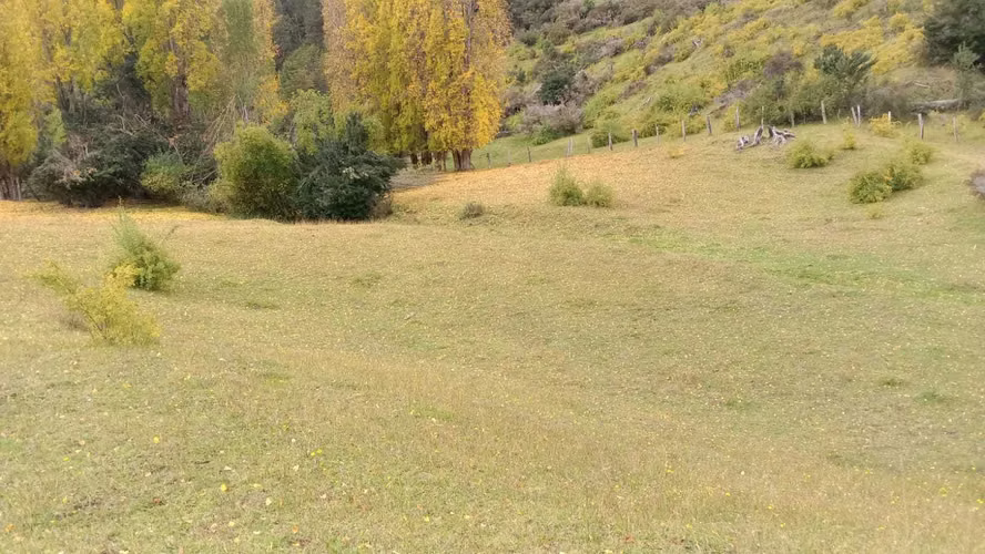 Entorno Natural y Tranquilidad Asegurada (159952) - Imagen 17