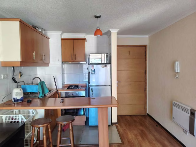 Arriendo departamento amoblado (159548)