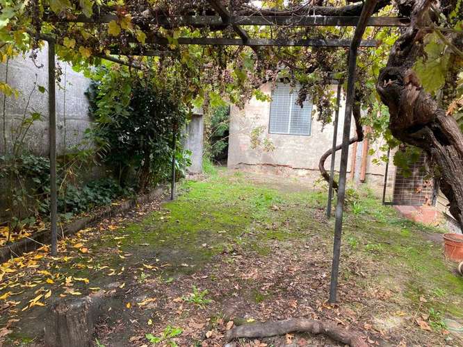 Ideal Desarrollo Inmobiliario (ZM-5) (160015)