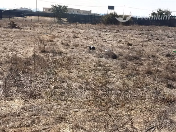 Parcela en venta 5000 m2 en Lampa