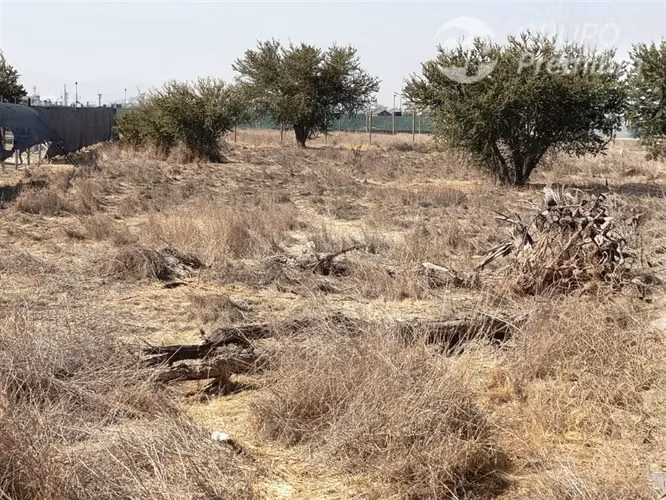 Parcela en venta 5000 m2 en Lampa