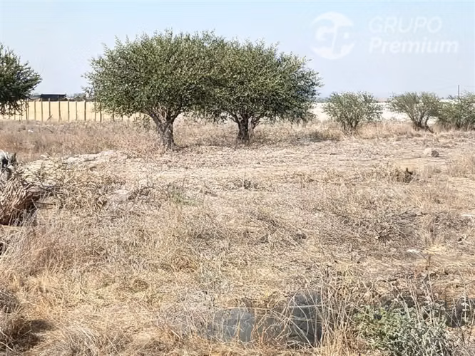 Parcela en venta 5000 m2 en Lampa