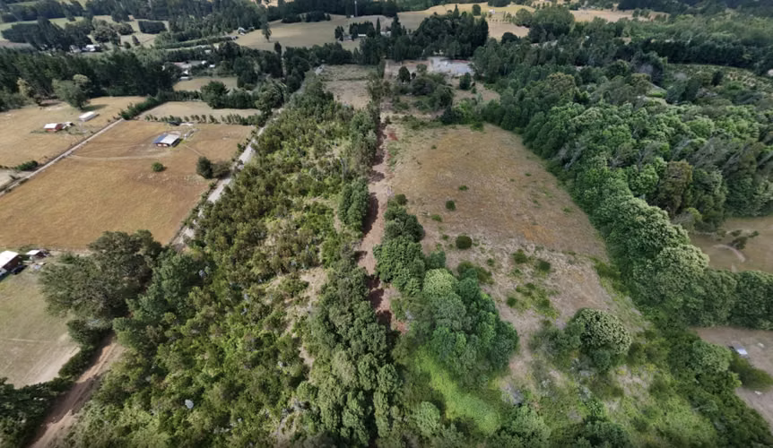 Terreno 184.891 m2 - Loncoche