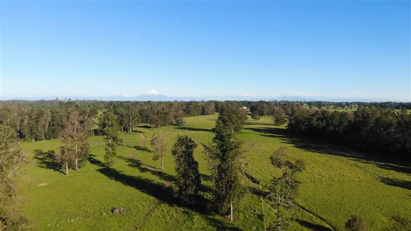Parcelas en Frutillar, bosques y praderas. Financiamiento