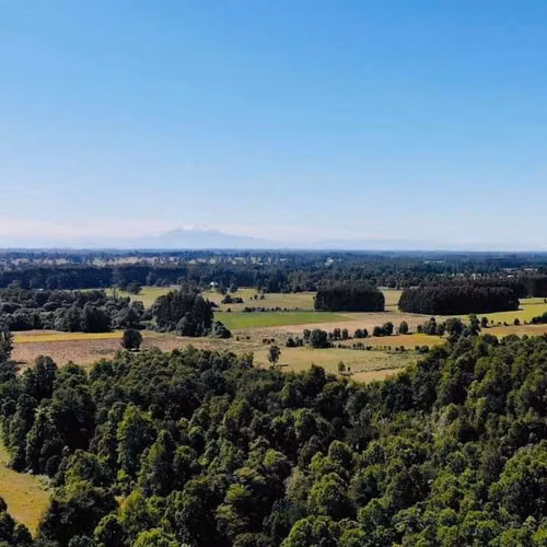 Parcelas en Frutillar, bosques y praderas. Financiamiento