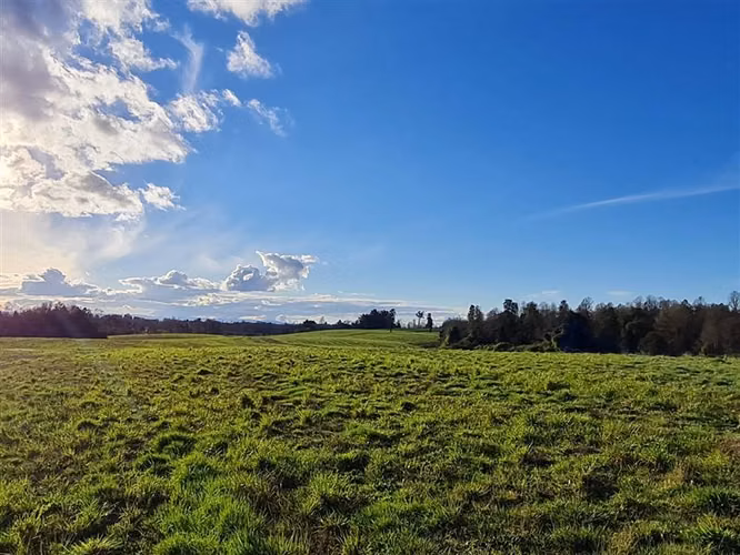 Parcelas en Frutillar, bosques y praderas. Financiamiento