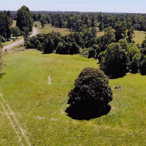 Parcelas en Frutillar, bosques y praderas. Financiamiento