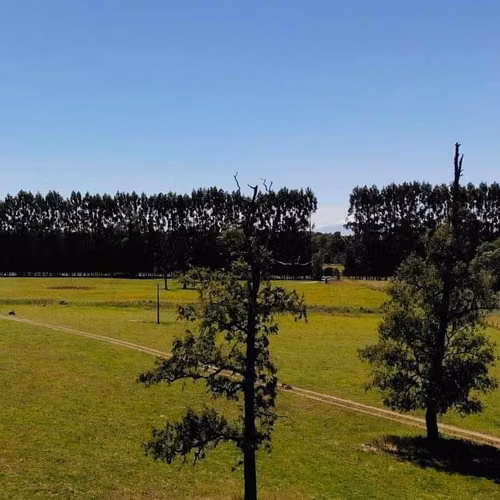 Parcelas en Frutillar, bosques y praderas. Financiamiento