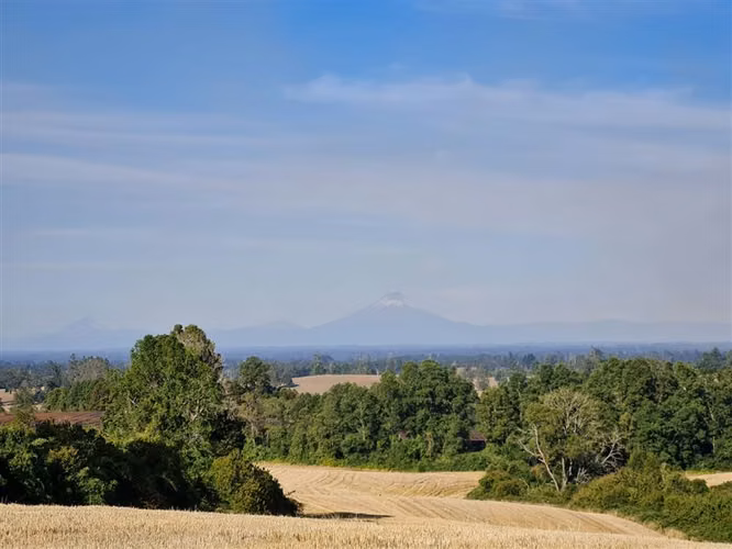 Parcelas en Frutillar, bosques y praderas. Financiamiento