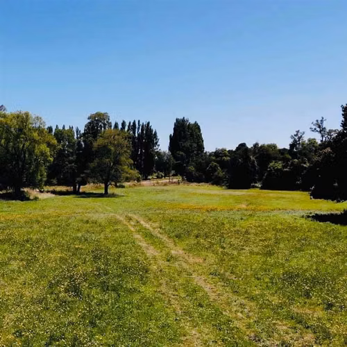 Parcelas en Frutillar, bosques y praderas. Financiamiento