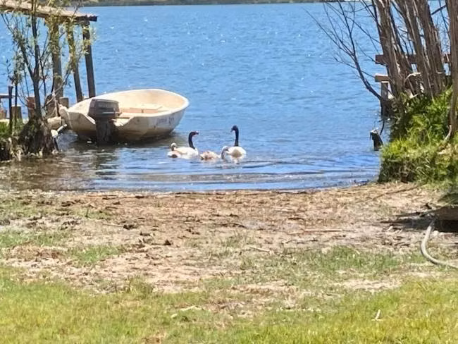 Casa con acceso al lago Vichuquen