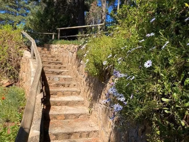 Casa con acceso al lago Vichuquen