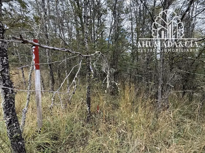 Parcela en venta en Coihaique