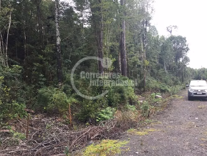 Parcela en venta en Puerto Varas