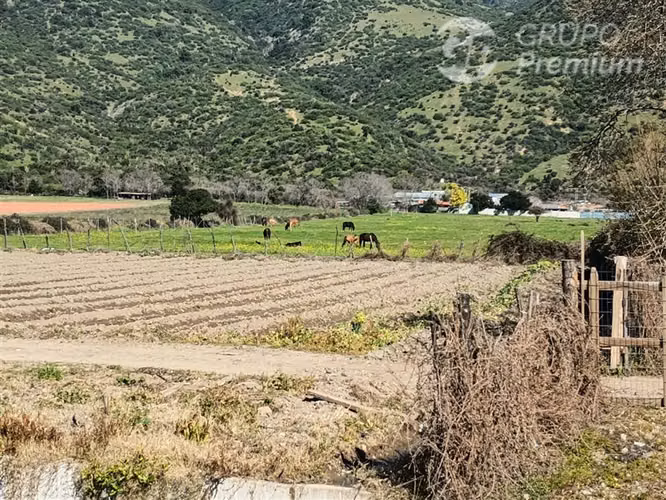 Venta Terreno Agrícola:36, 8 Has. en Lamarhue - Pichidegua